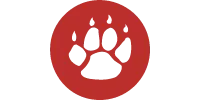 QTech-icon